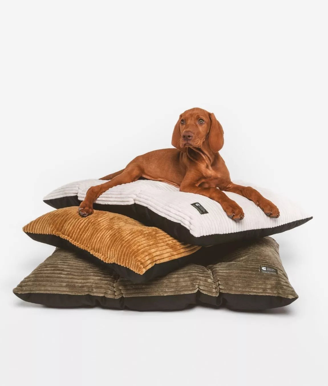 Home & Accessoires