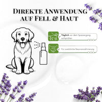 Starter-Kit - EM-Keramik Halsband + Aktivator-Spray