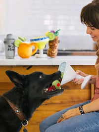 Hundespielzeug – Barktender „Pawtini Cocktail“ – P.L.A.Y.