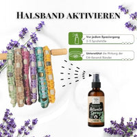 Starter-Kit - EM-Keramik Halsband + Aktivator-Spray