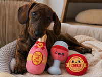 Hundespielzeug Set – Rosé All Day 🥂🐾 – HugSmart