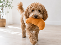 Hundespielzeug - Barking Brunch Collection - Pup's Pastry - Pet PLAY