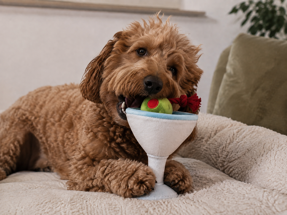Hundespielzeug – Barktender „Pawtini Cocktail“ – P.L.A.Y.